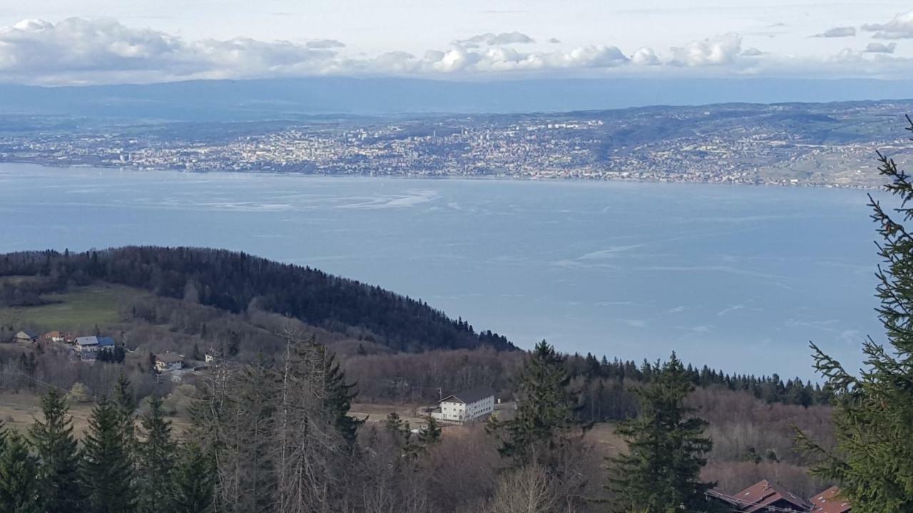 Chalet Le Telemark Thollon-les-Memises Bagian luar foto